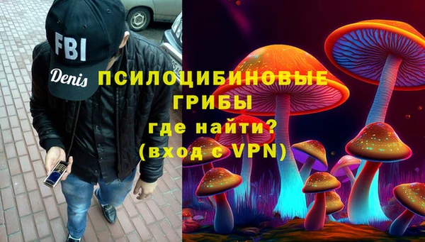 дживик Бородино