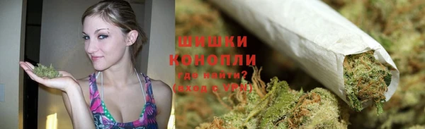 бошки Белокуриха