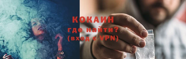 бошки Белокуриха