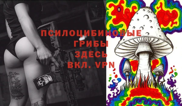 бошки Белокуриха
