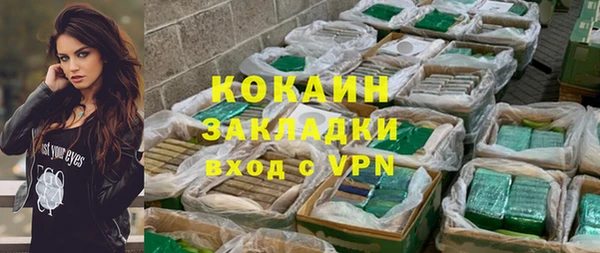 дживик Бородино