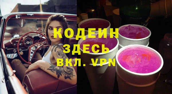 дживик Бородино