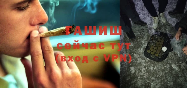 дживик Бородино