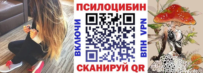 закладка  Урус-Мартан  Галлюциногенные грибы мухоморы 